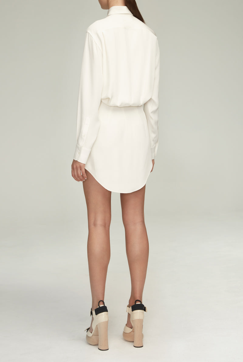 Brandon maxwell hot sale shirt dress